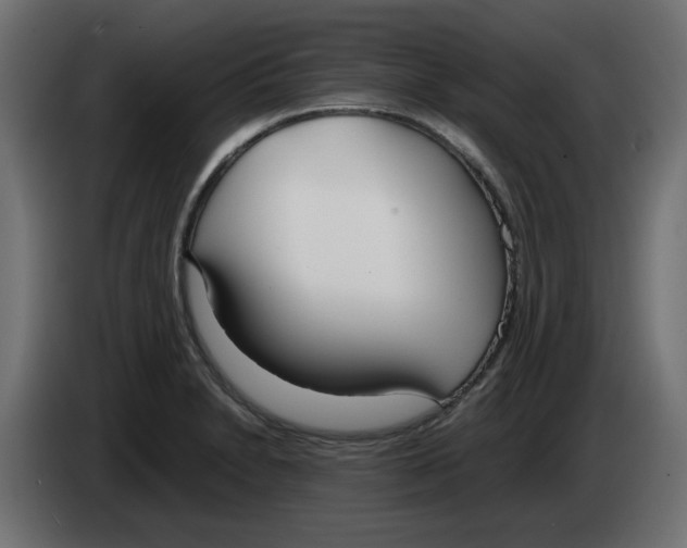 X0000083011230200703021932