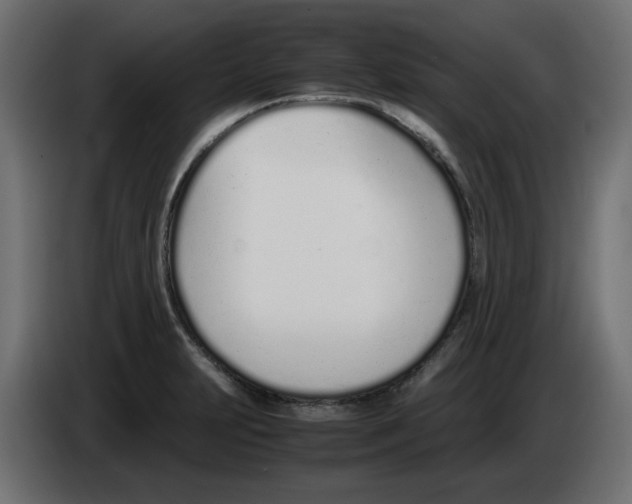 X0000083011231200703021932