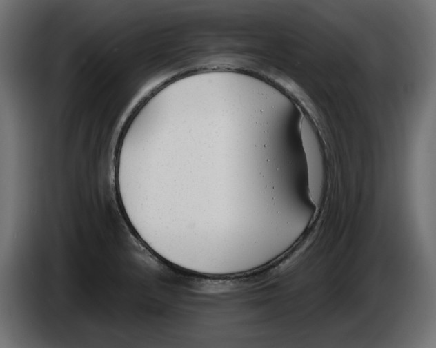 X0000083011232200703021932