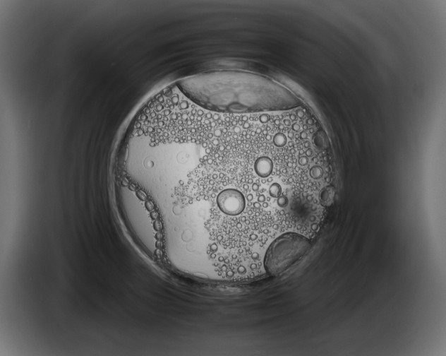 X0000083011235200703021932