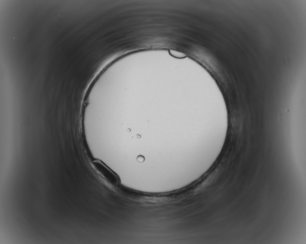 X0000083011236200703021932