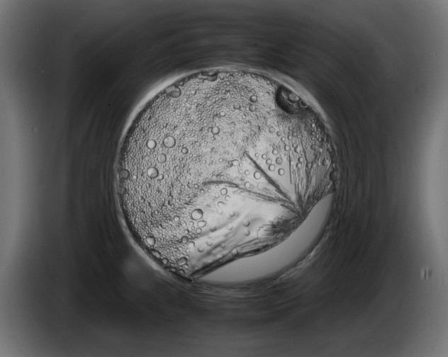 X0000083011239200703021932