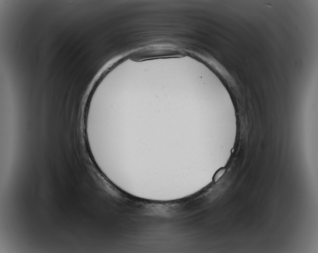 X0000083011240200703021932