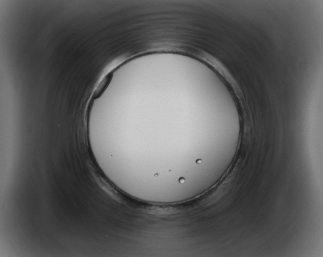 X0000083011242200703021932