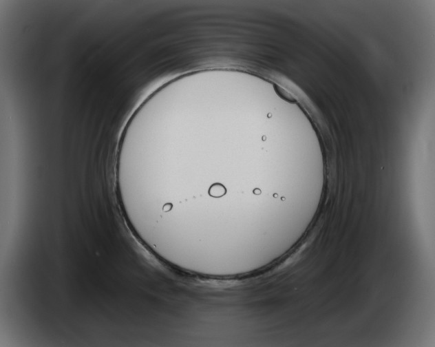 X0000083011244200703021933