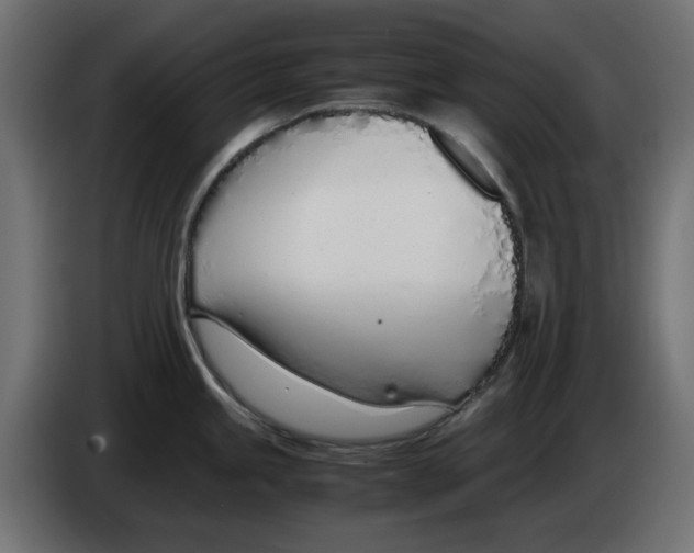 X0000083011245200703021933