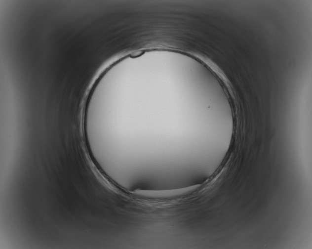 X0000083011246200703021933