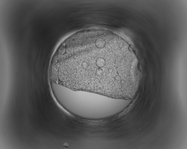 X0000083011247200703021933