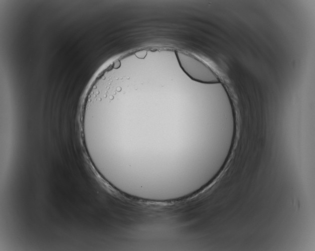 X0000083011248200703021933