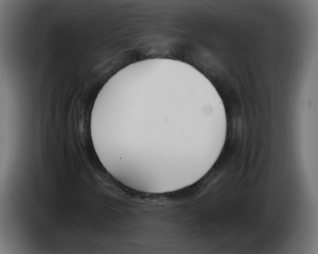 X0000083011250200703021932