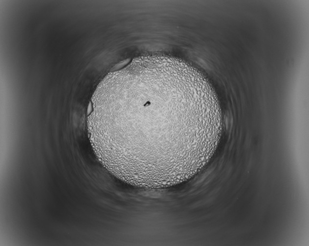 X0000083011251200703021932