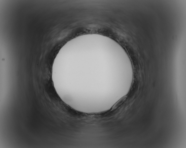 X0000083011253200703021932