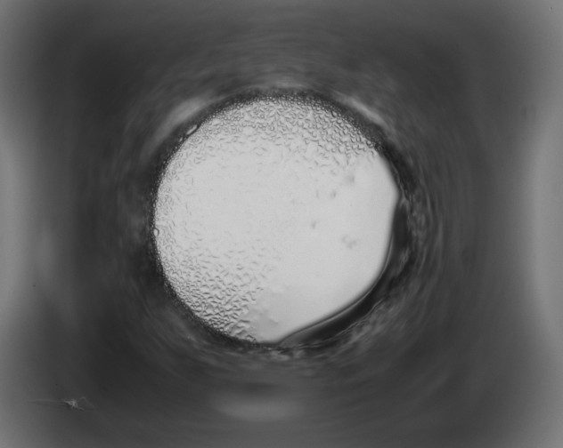 X0000083011255200703021932