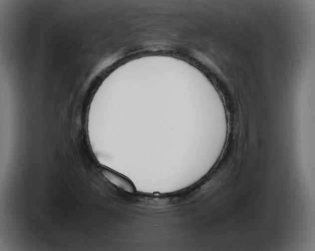 X0000083011261200703021932