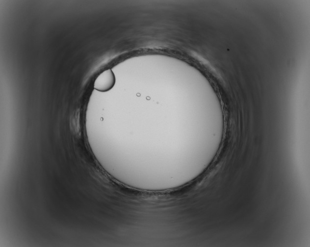 X0000083011262200703021932