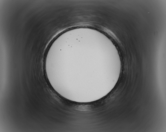 X0000083011268200703021931