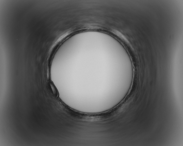 X0000083011269200703021931