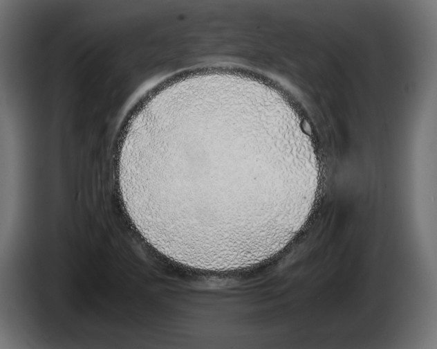 X0000083011271200703021931