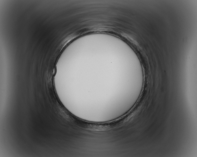 X0000083011273200703021931