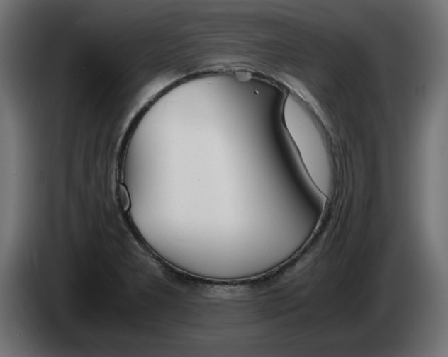 X0000083011277200703021931