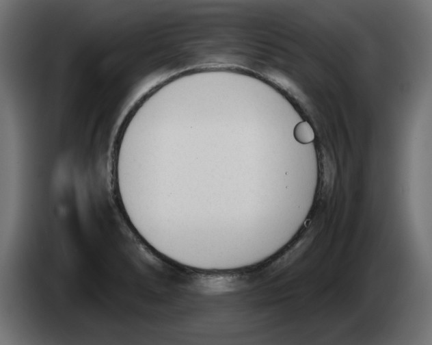 X0000083011278200703021931