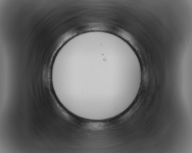 X0000083011282200703021931