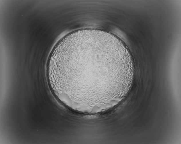 X0000083011283200703021931