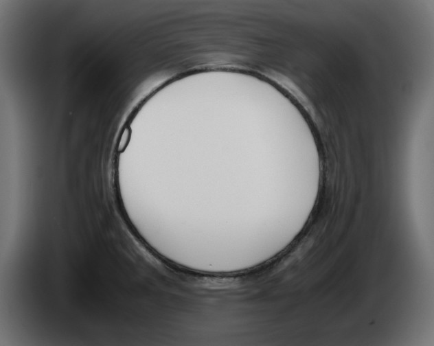 X0000083011285200703021931