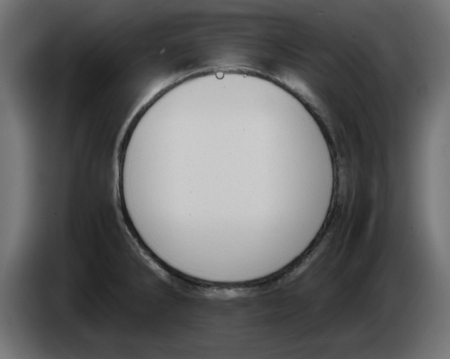 X0000083011286200703021931