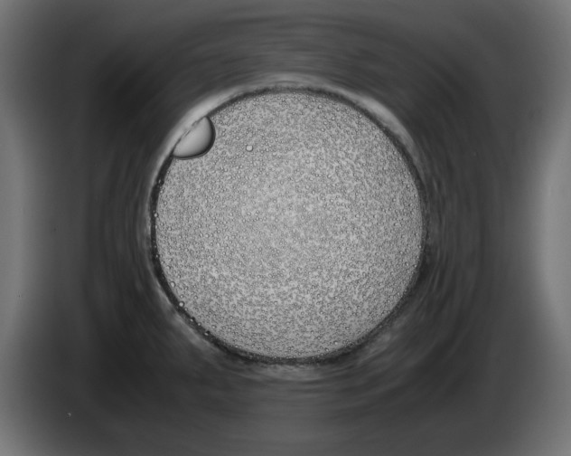 X0000083011287200703021931