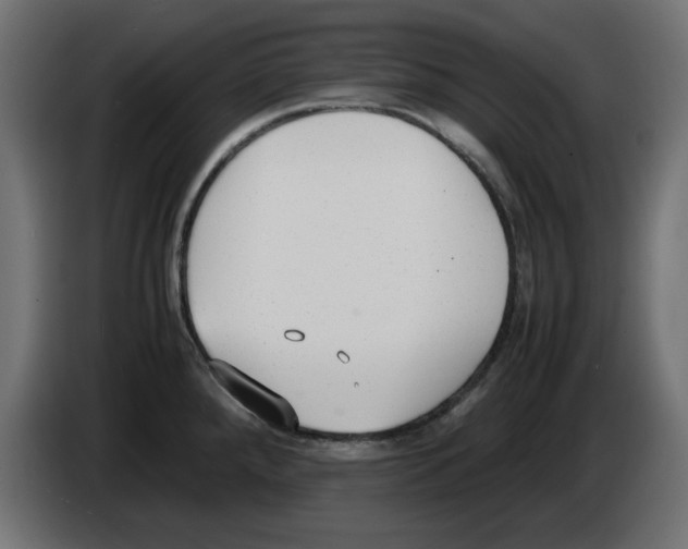 X0000083011288200703021931