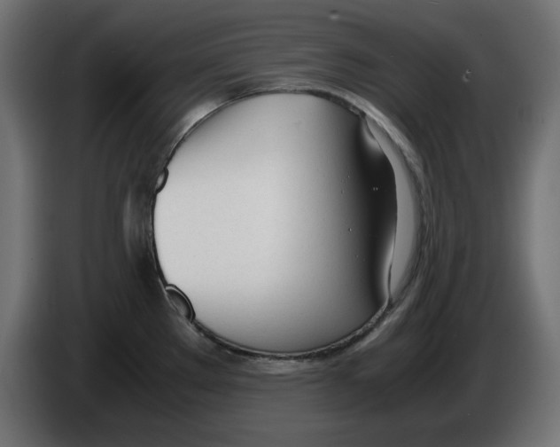 X0000083011289200703021931