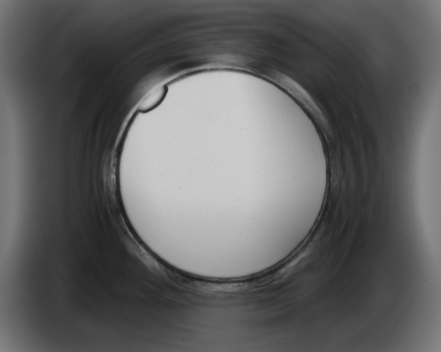 X0000083011292200703021931