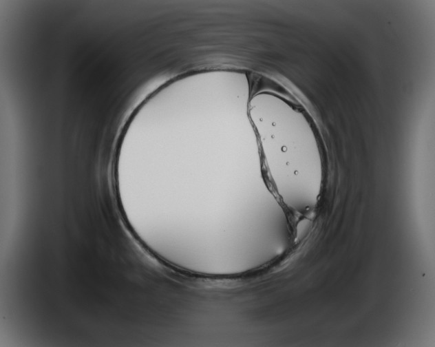 X0000083011293200703021931