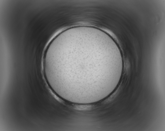 X0000083011294200703021931