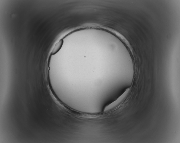 X0000083011295200703021931