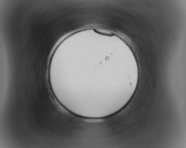 X0000083011296200703021931