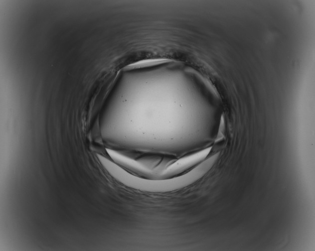 X0000083011298200703021930