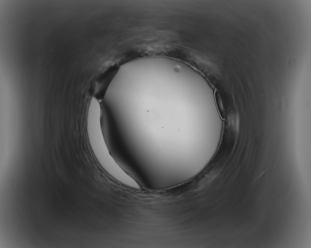 X0000083011300200703021930