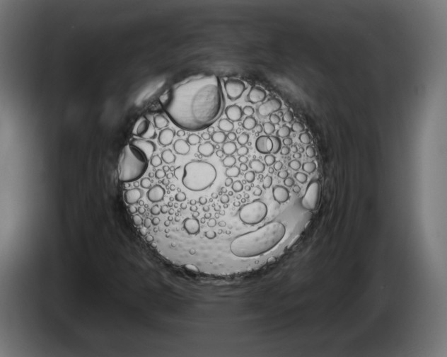 X0000083011302200703021930