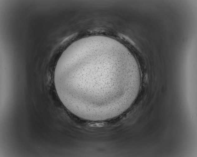 X0000083011303200703021930