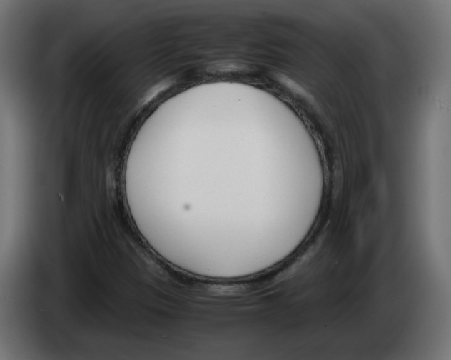 X0000083011305200703021930