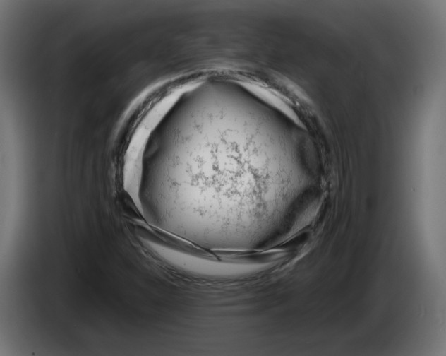 X0000083011310200703021930