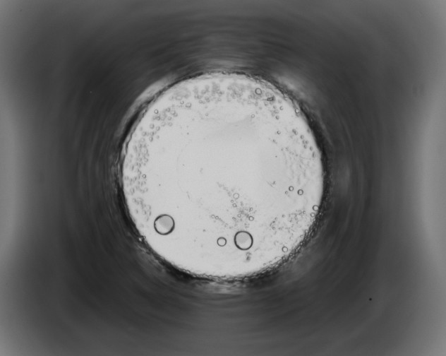 X0000083011314200703021930