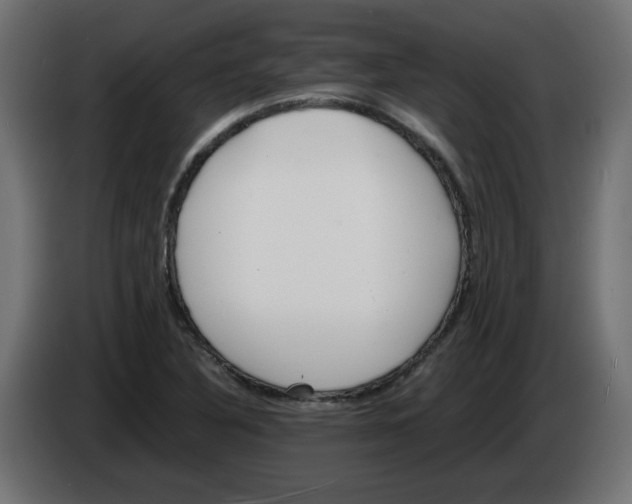 X0000083011316200703021930