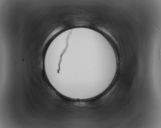 X0000083011317200703021930