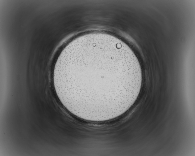 X0000083011318200703021930