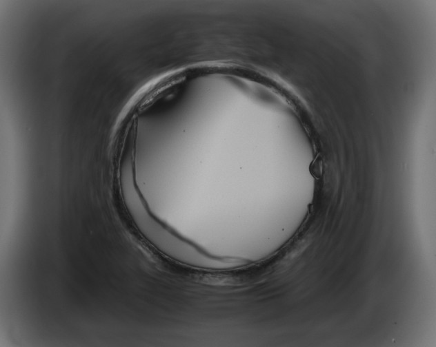 X0000083011319200703021930