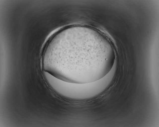 X0000083011320200703021930