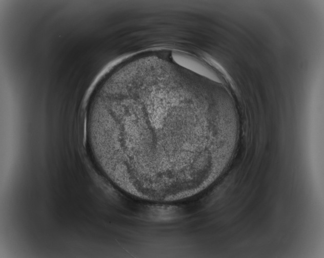 X0000083011323200703021931